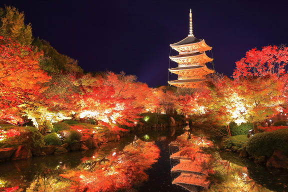 京都の夜間拝観とおすすめの絶景！お寺のライトアップに季節イベントが魅力