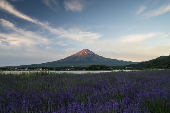 富士山