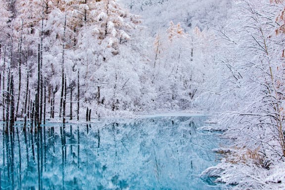 冬の北海道観光を最高に楽しむ！おすすめの絶景スポットと注目イベント