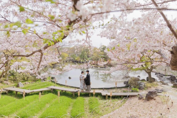 神戸の桜名所でお花見！心踊る春の絶景スポット＆神戸の街と桜を堪能するモデルコース