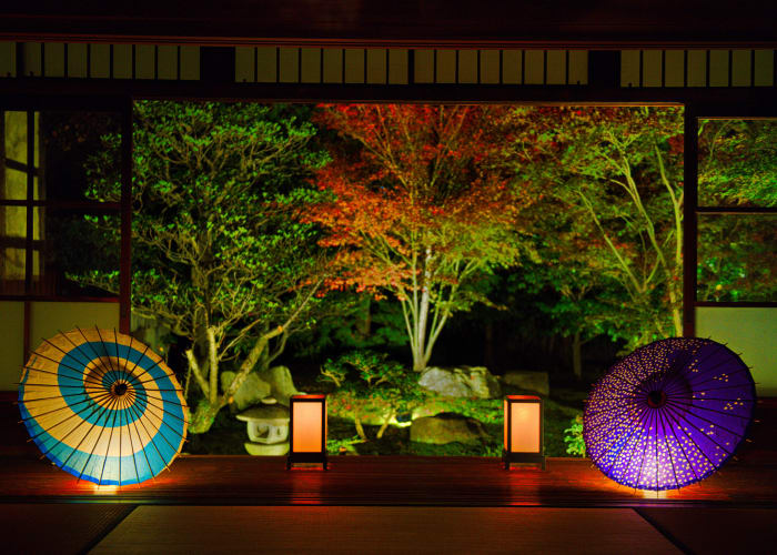 京都のライトアップ紅葉のおすすめスポット！時期や見頃もご紹介
