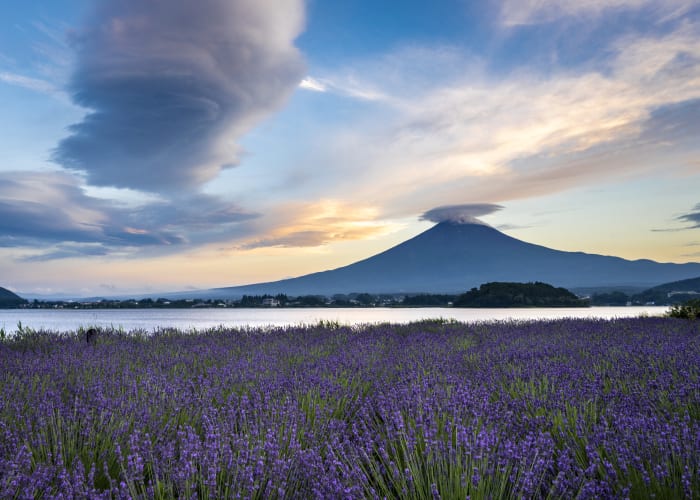 富士山河口湖観光1泊2日モデルコース！絶景とグルメを楽しむ贅沢旅