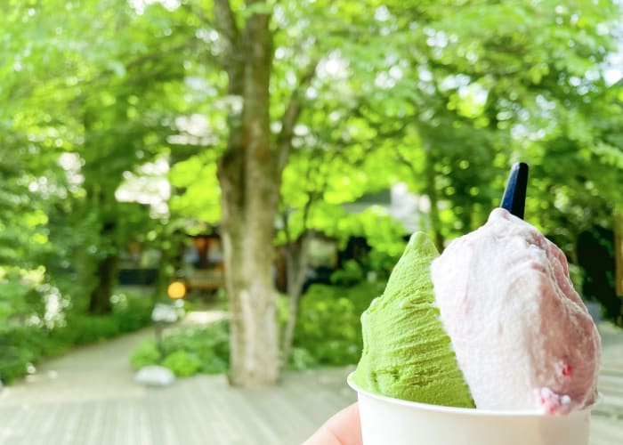 【厳選】軽井沢デートスポット10選！カップルで訪れるならココに注目