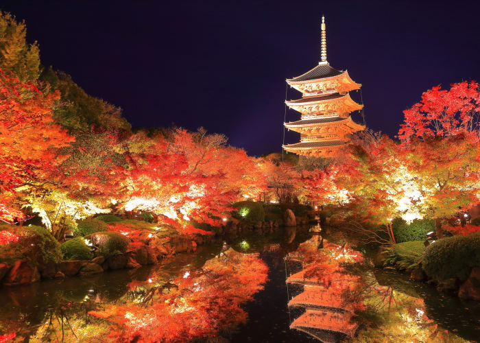 京都の夜間拝観とおすすめの絶景！お寺のライトアップに季節イベントが魅力