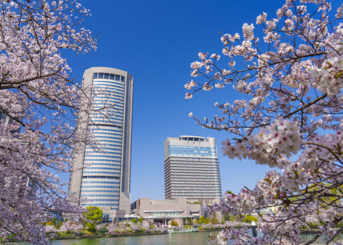 大阪屈指の桜の名所15選！おすすめの穴場の見どころやモデルコースも紹介