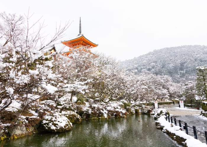 冬の京都観光で訪れたい！雪景色の注目デートスポット＆イルミネーションイベント