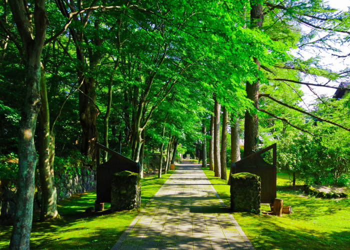 夏の軽井沢観光はココがおすすめ！避暑地の美しい自然でリフレッシュ