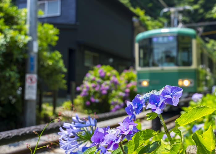 鎌倉の紫陽花が美しいお寺特集 名所から穴場スポットまでご紹介 旅先で特別な結婚写真が残せるフォトジェニックジャーニー By De Co