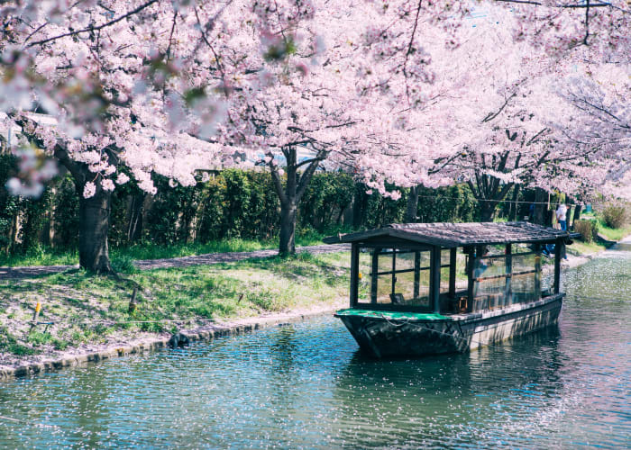 春の京都観光 穴場 定番スポット14選 おすすめ日帰りモデルコースも紹介 旅先で特別な結婚写真が残せるフォトジェニックジャーニー By