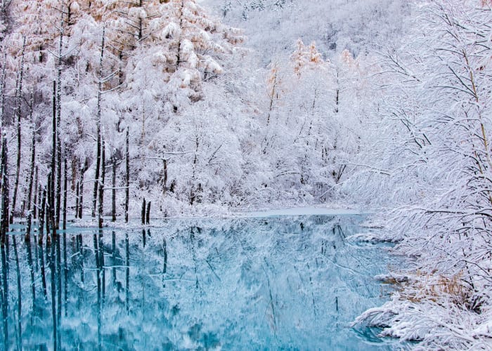 冬の北海道観光を最高に楽しむ！おすすめの絶景スポットと注目イベント