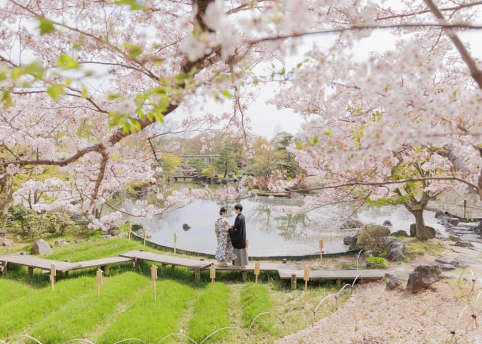 神戸の桜名所でお花見！心踊る春の絶景スポット＆神戸の街と桜を堪能するモデルコース