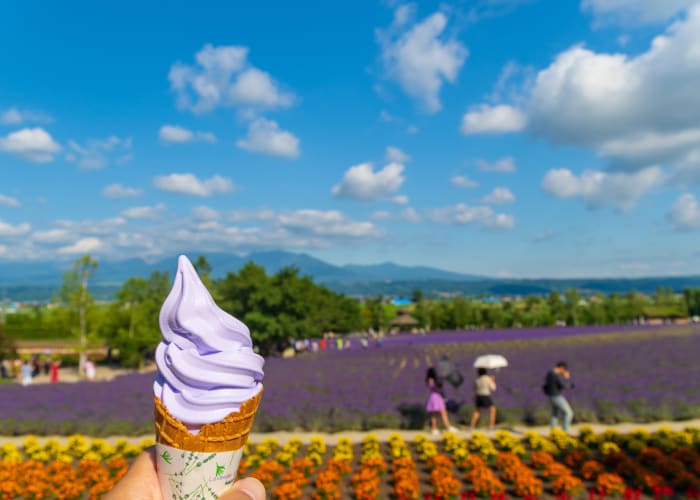 北海道2泊3日モデルコース 札幌と小樽のいいとこ取りで巡る旅プラン 旅先で特別な結婚写真が残せるフォトジェニックジャーニー By