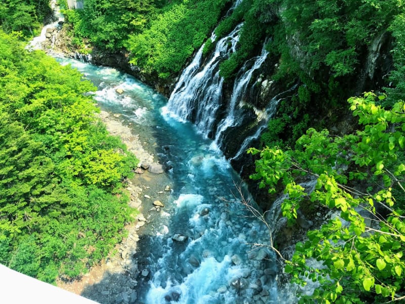 Photo by mami sumimoto