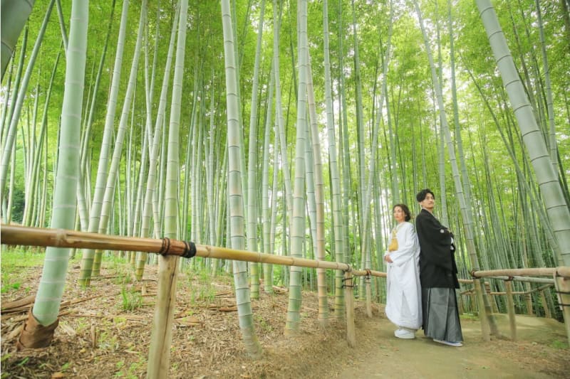 白鳥庭園で『フォトウェディング』を撮影すると♪