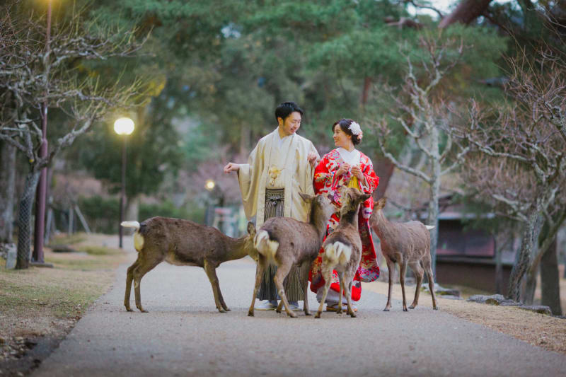 奈良公園で『フォトウェディング』を撮影すると♪