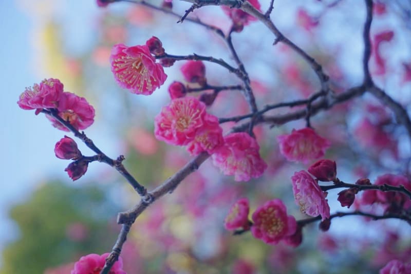 photo by 髙橋美咲