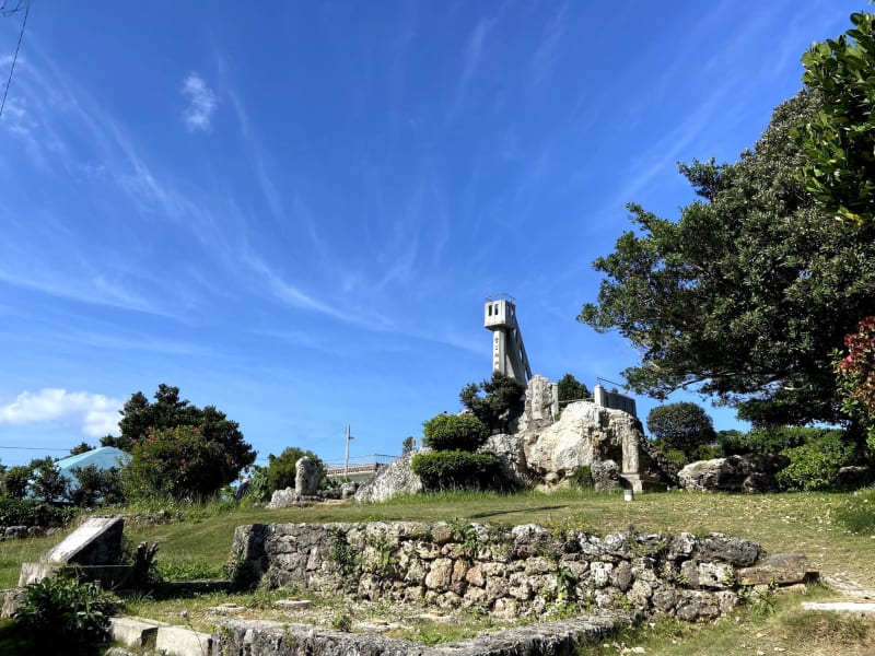 撮影：片岡由衣