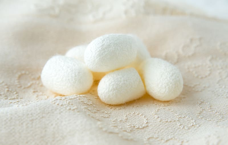 ※画像はイメージです