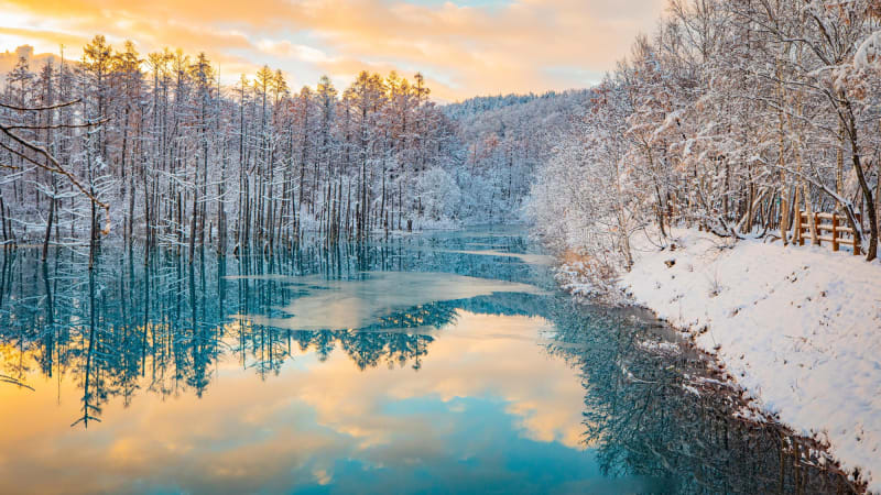 冬の北海道観光の楽しみ方 おすすめの絶景スポットとイルミネーションイベント 旅先で特別な結婚写真が残せるフォトジェニックジャーニー By