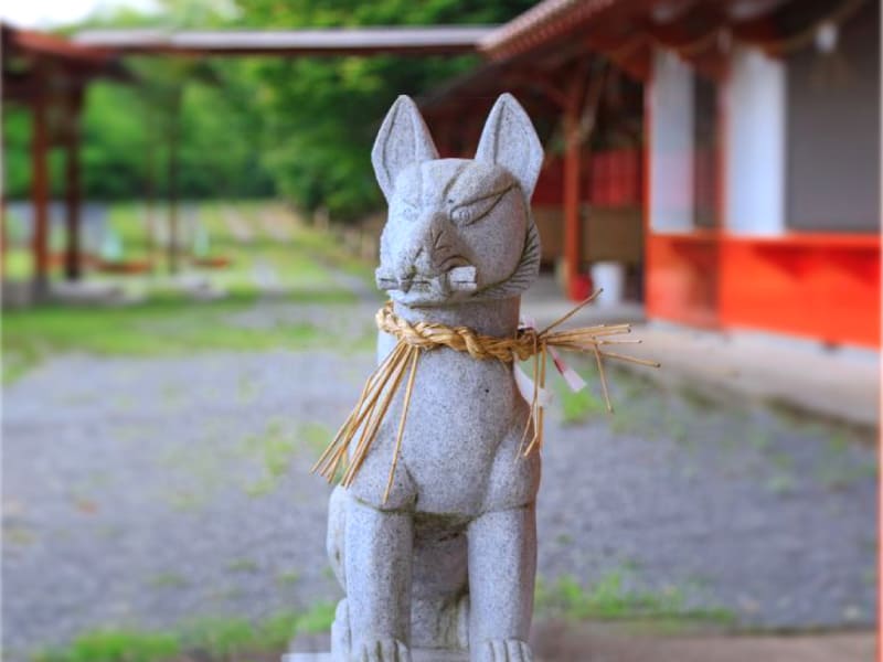 Photo by ©福岡県観光連盟