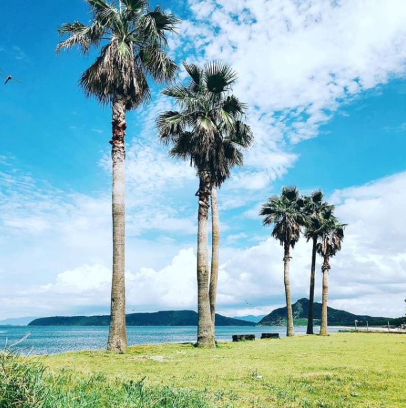 Photo by：Instagram 糸島食堂（＠itoshimasyokudou）