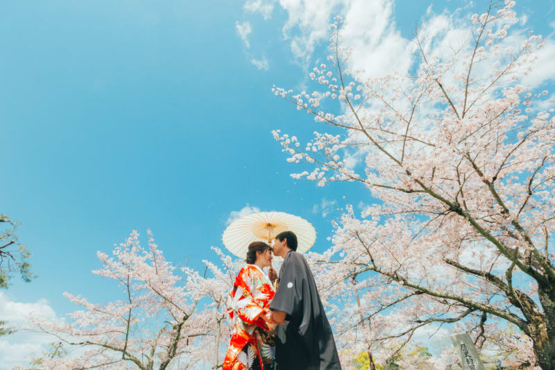 円山公園で『フォトウェディング』を撮影すると♪