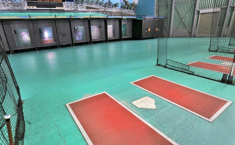 写真はイメージです。