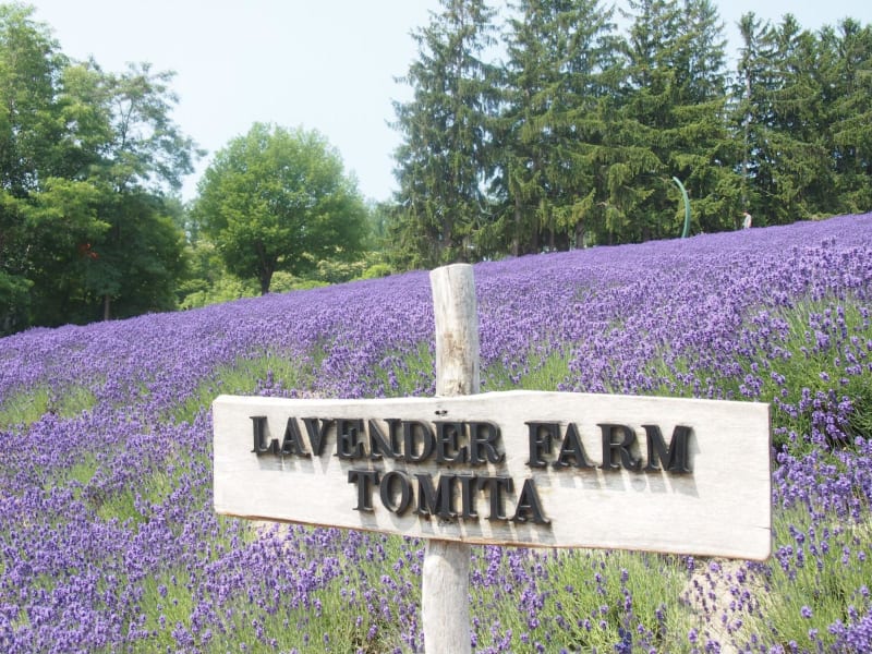 Photo by mami sumimoto