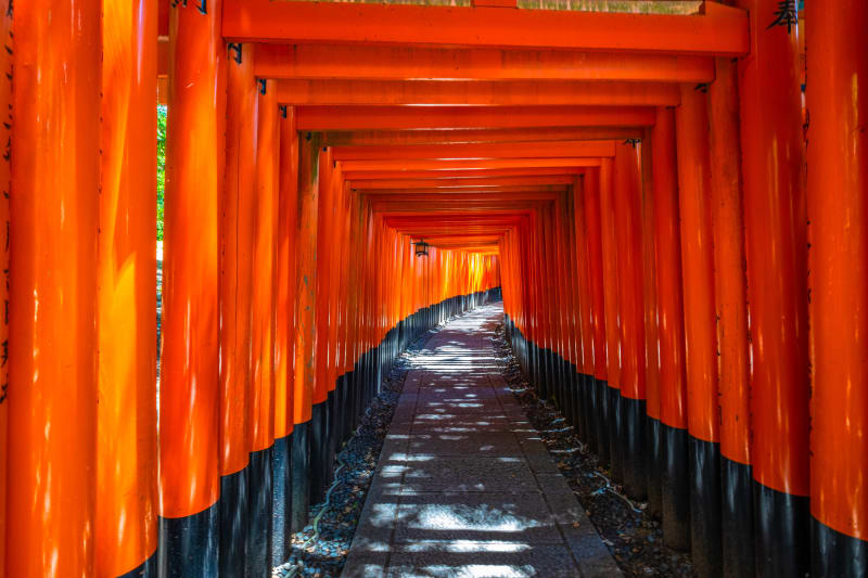 京都の1日モデルコース 日帰りの弾丸旅で楽しめる観光名所が勢ぞろい 旅先で特別な結婚写真が残せるフォトジェニックジャーニー By