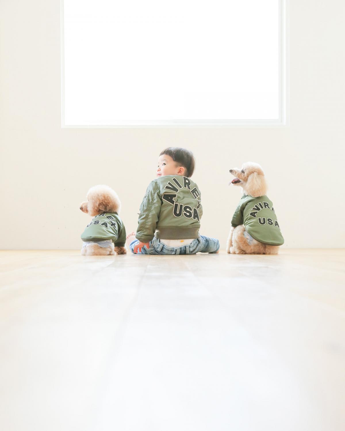 お誕生日　バースデー　男の子　わんちゃん　キッズ写真 　HAPISTA