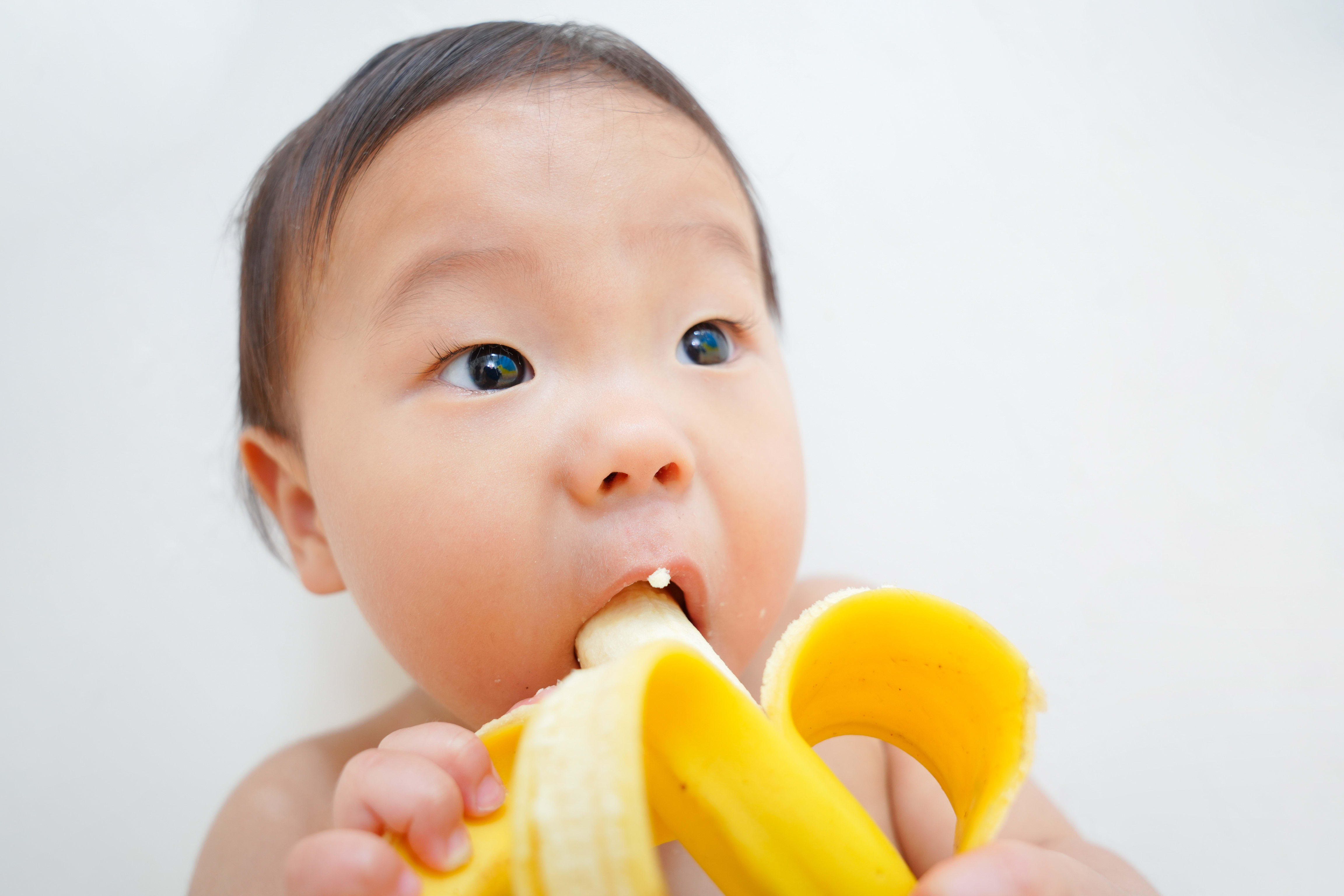 バースデー　バースデーフォト　1歳　1歳男の子　大阪フォトスタジオ　キッズフォトスタジオ　犬と撮影　ペット撮影