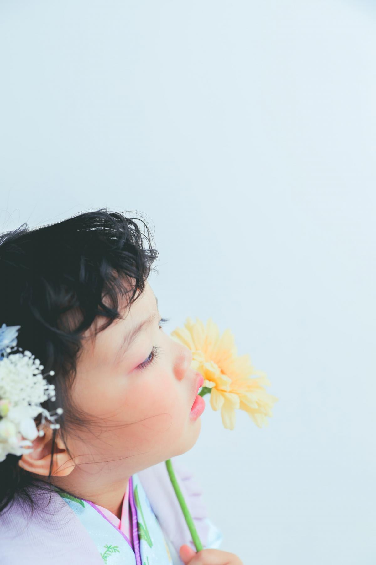 七五三　記念写真　キッズフォトハウス　HAPISTA