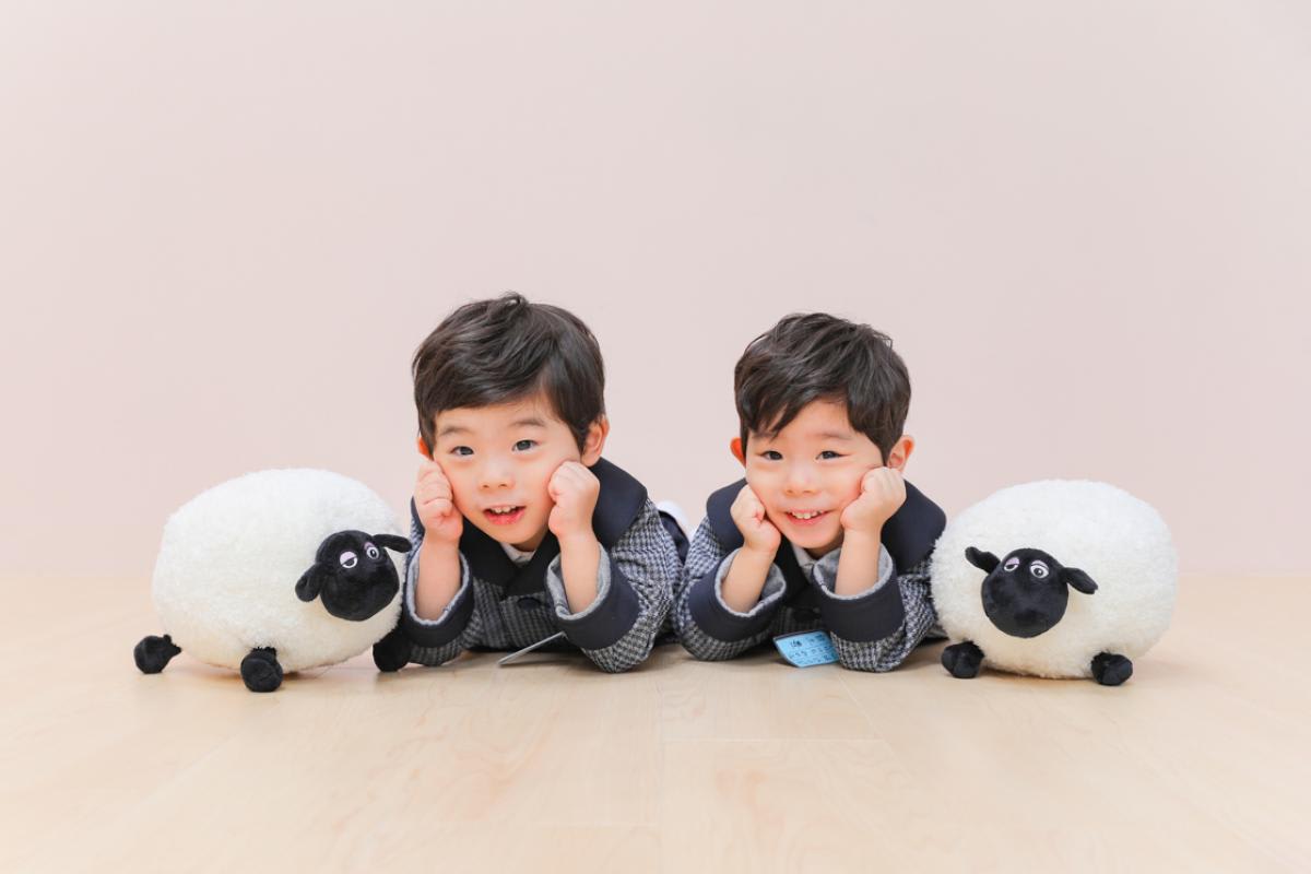 七五三　記念写真　男の子　羊　キッズフォトハウス　HAPISTA