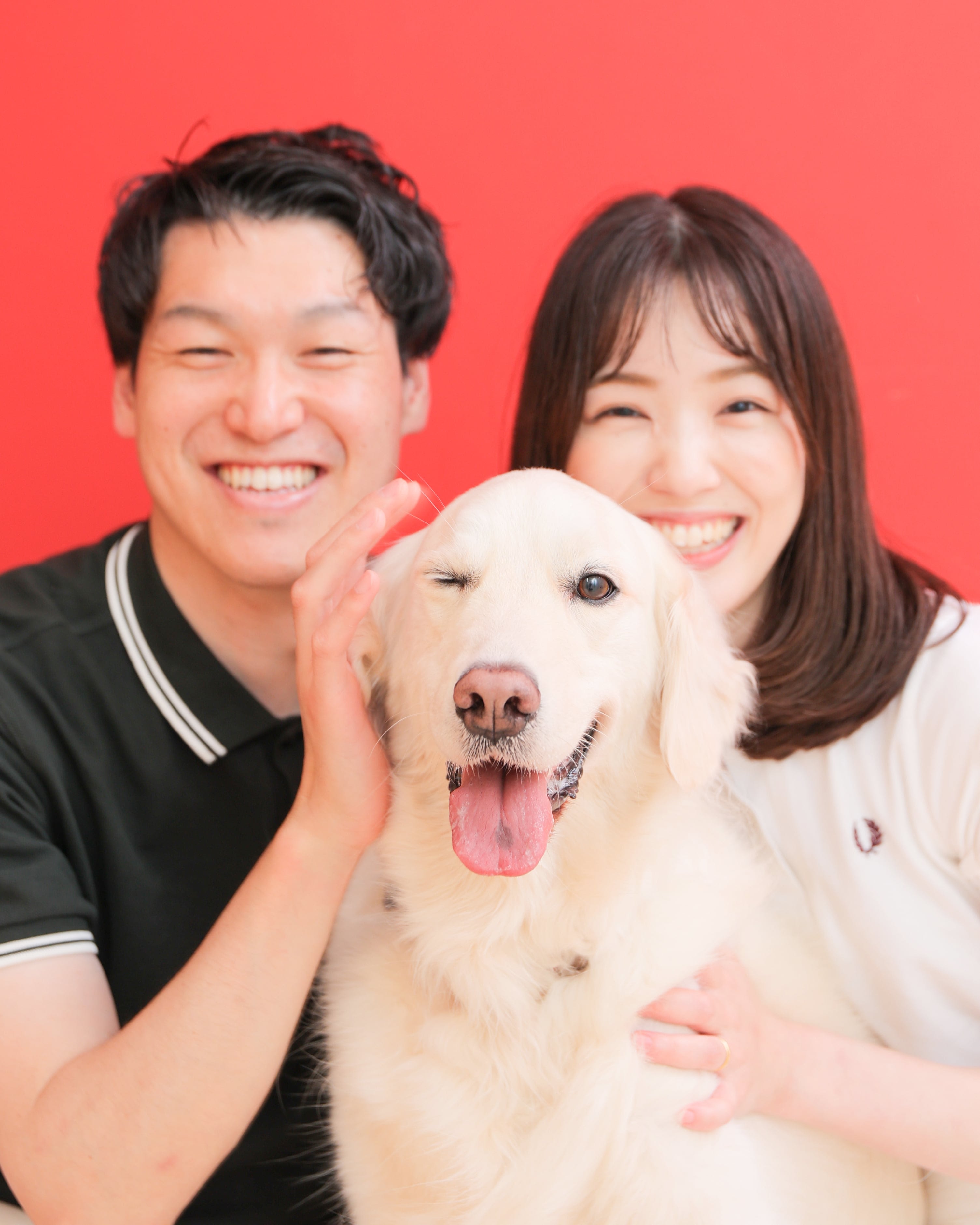 わんこ　家族写真　