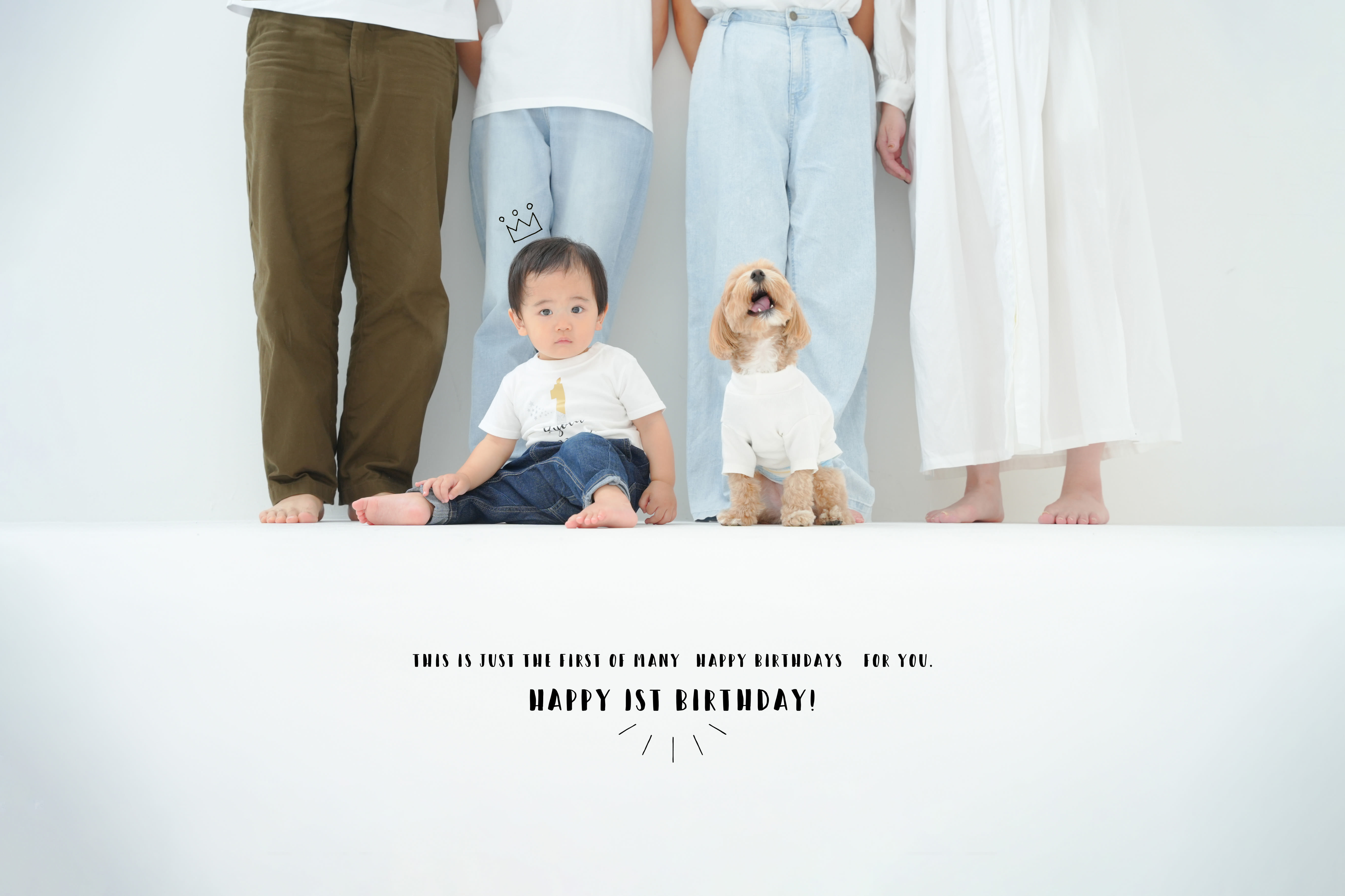 1歳バースデー　犬　誕生日　バースデーフォト