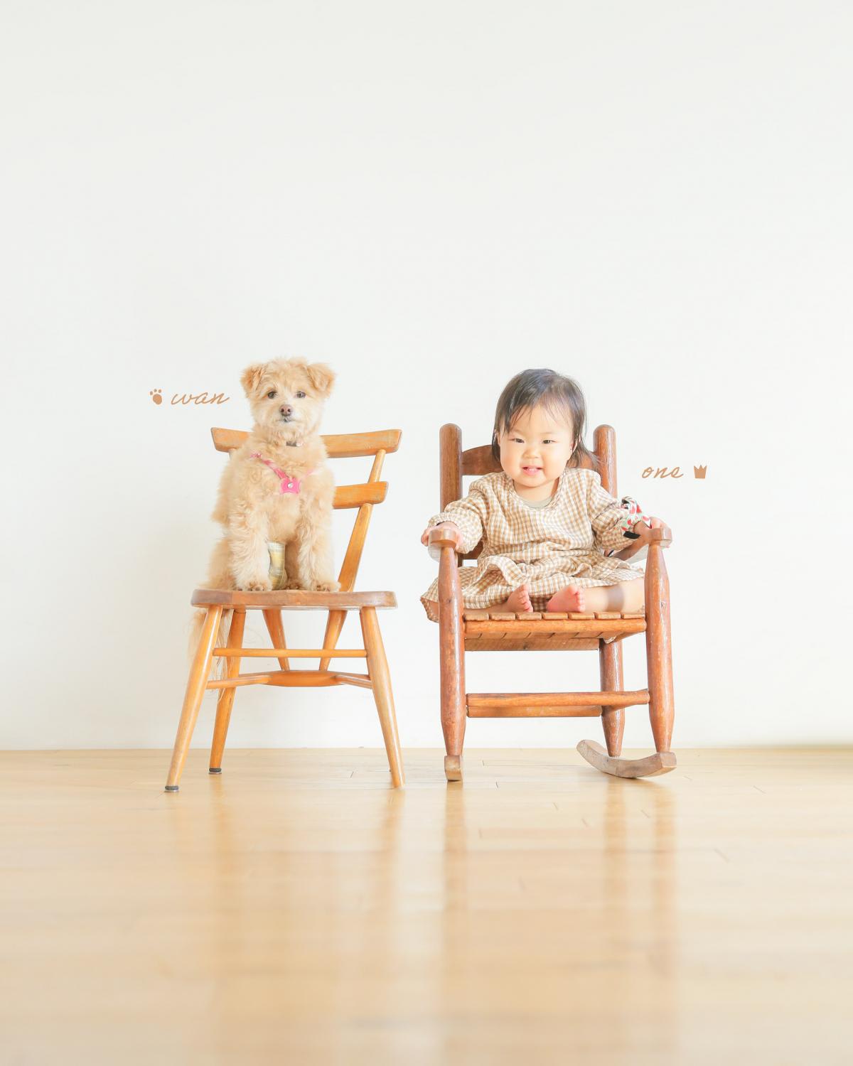 バースデー　お誕生日　わんちゃん　記念日撮影　キッズ写真　HAPISTA