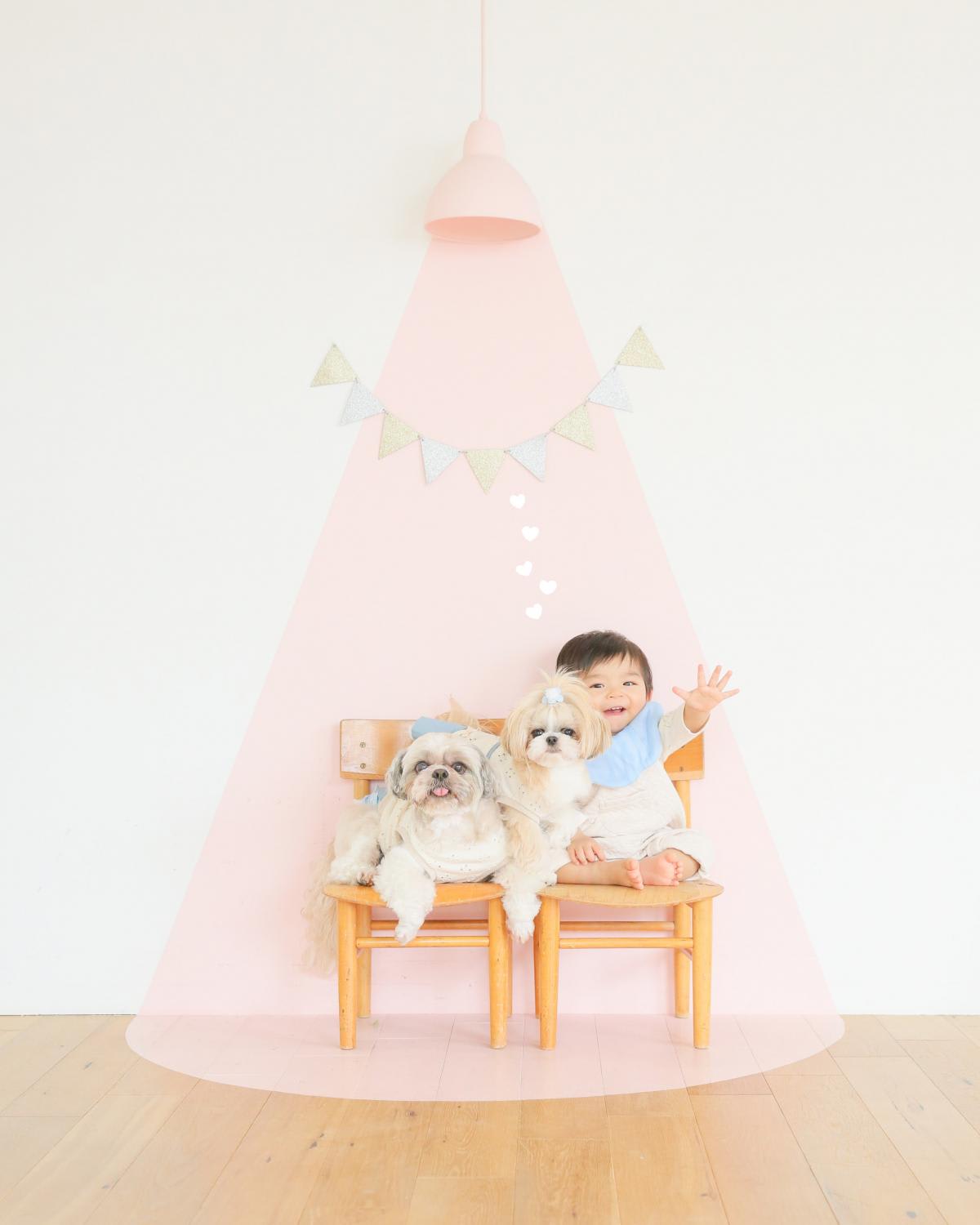 バースデー　お誕生日　わんちゃん　キッズ写真　HAPISTA