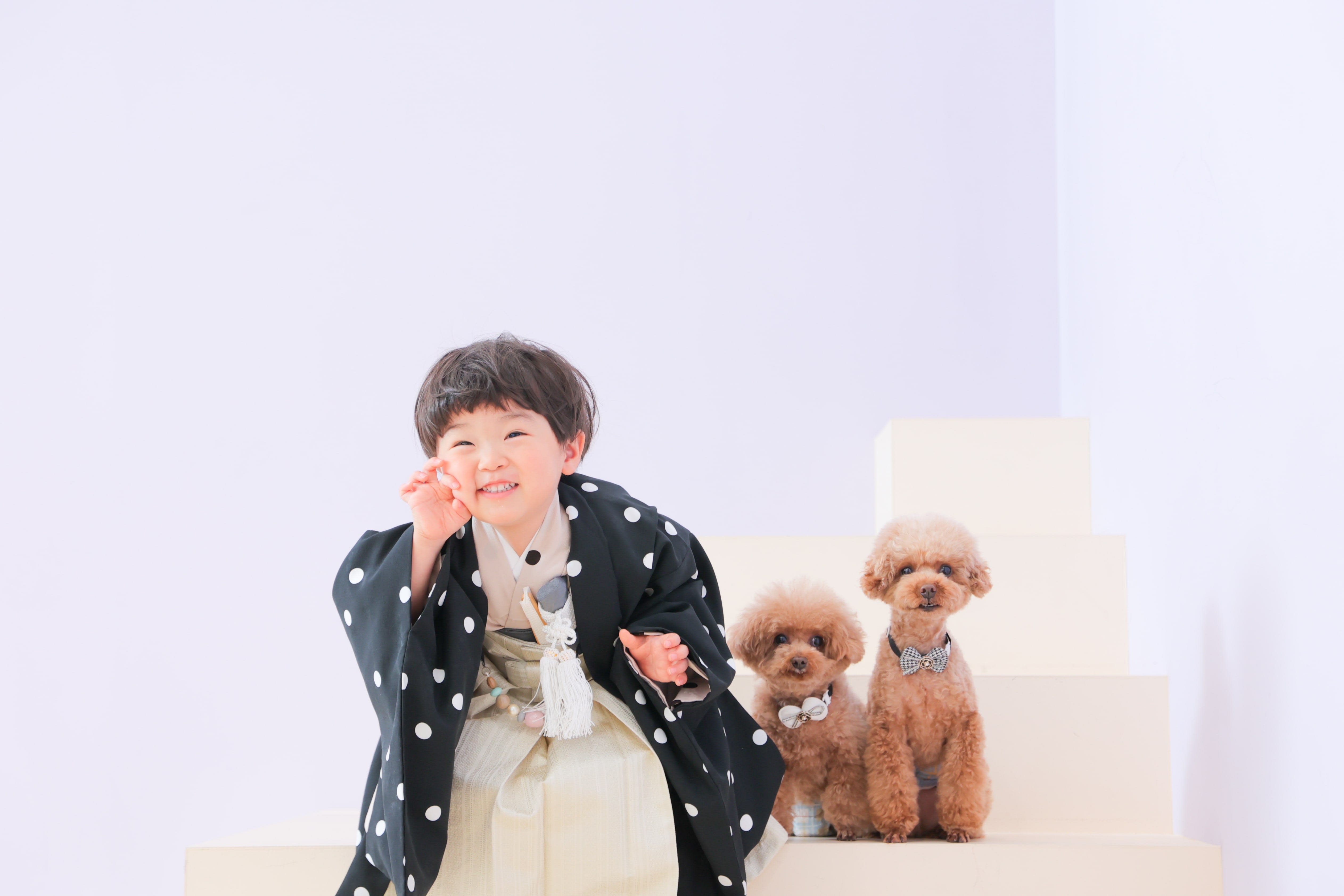 七五三　3歳　男の子　着物 　犬　トイプードル