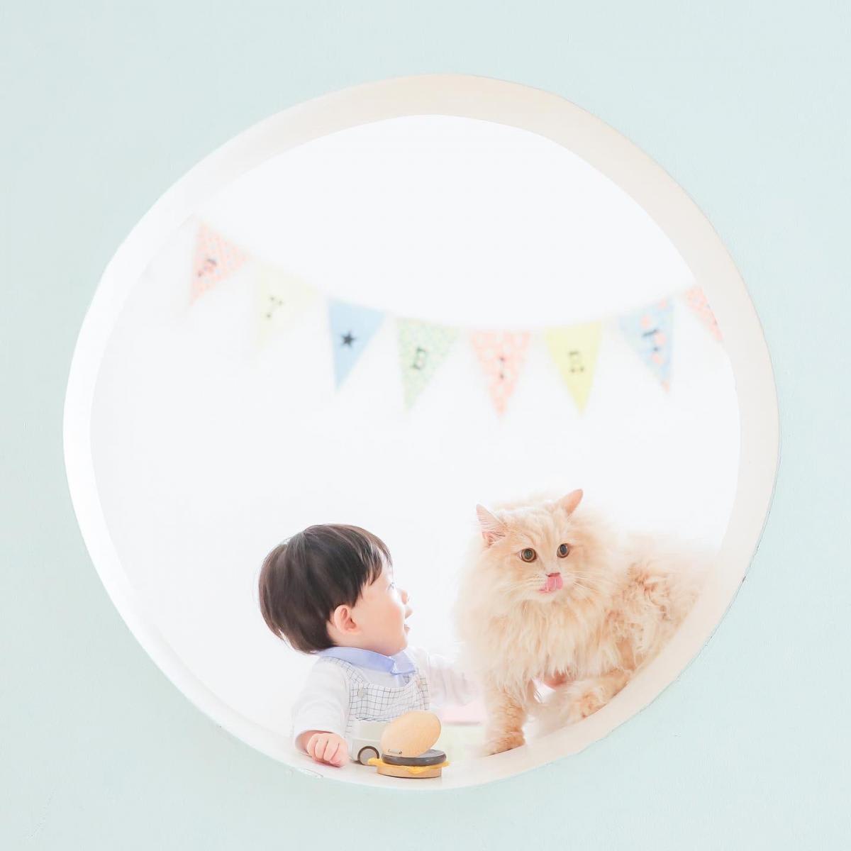 バースデー　お誕生日　ねこ　キッズ写真　HAPISTA