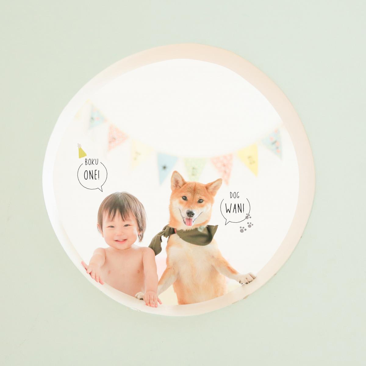 バースデー　お誕生日　わんちゃん　キッズ写真　HAPISTA