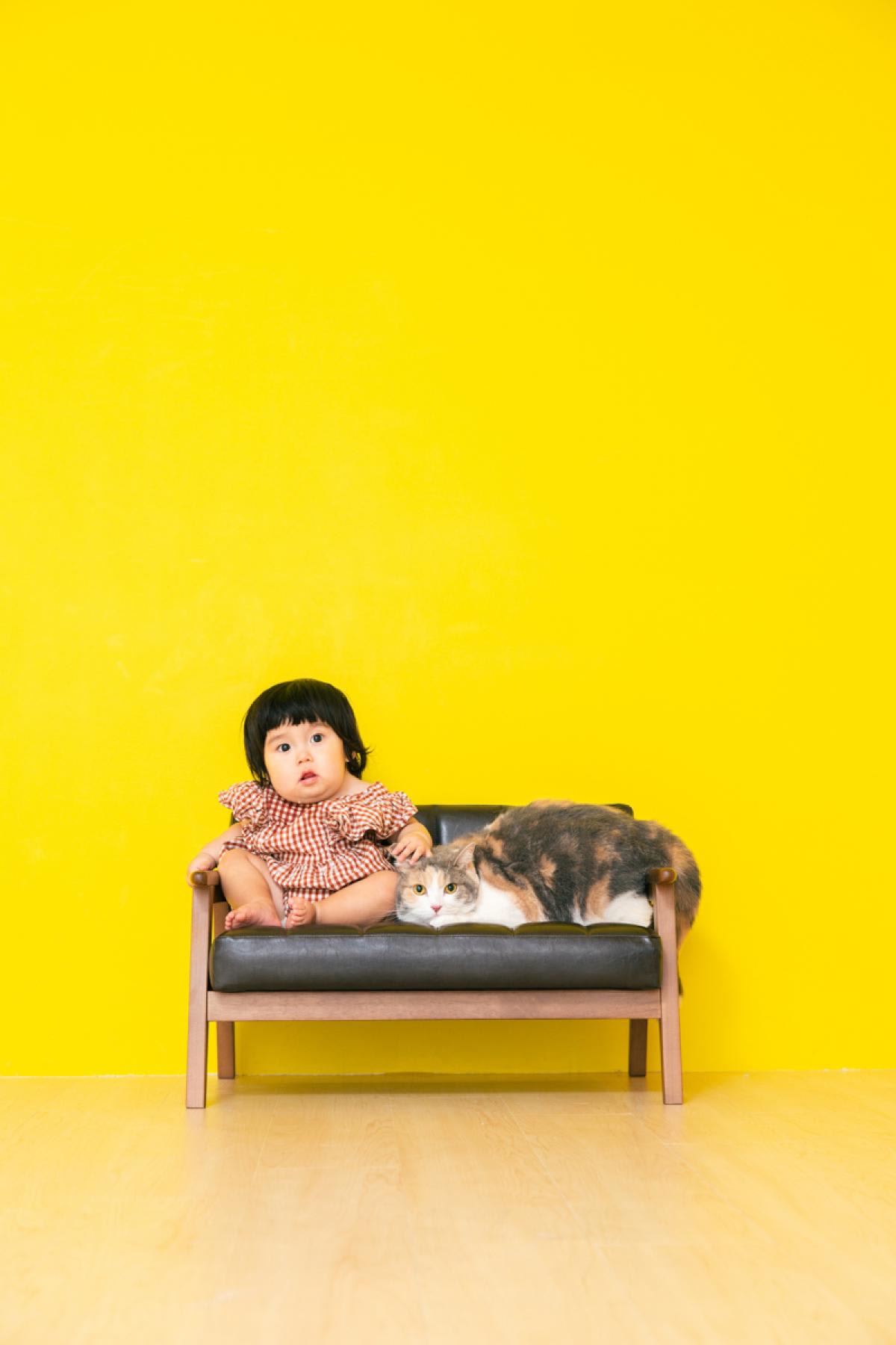 バースデー　お誕生日　女の子　ねこちゃん　キッズ写真　HAPISTA