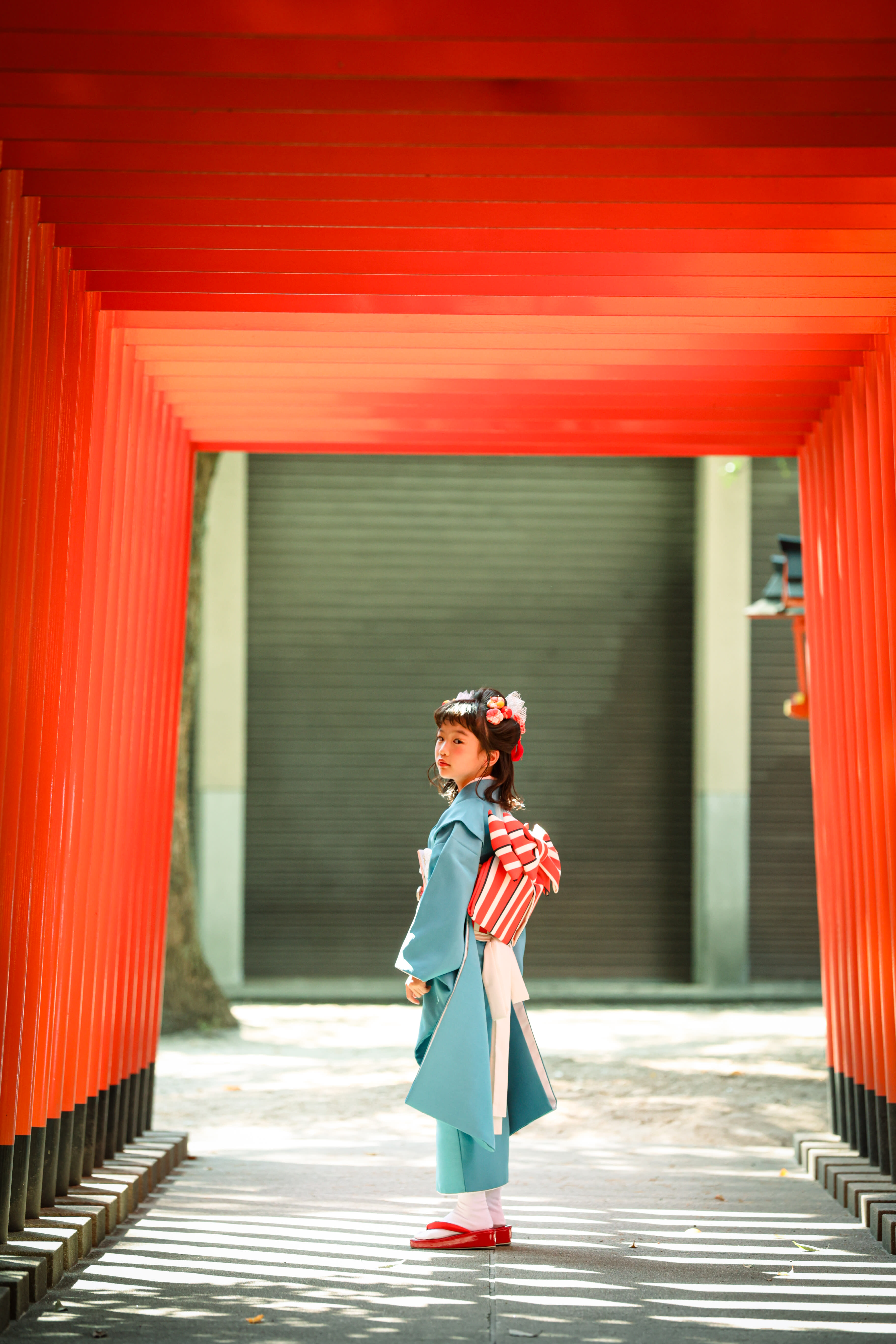 7歳　神社　服部住吉神社