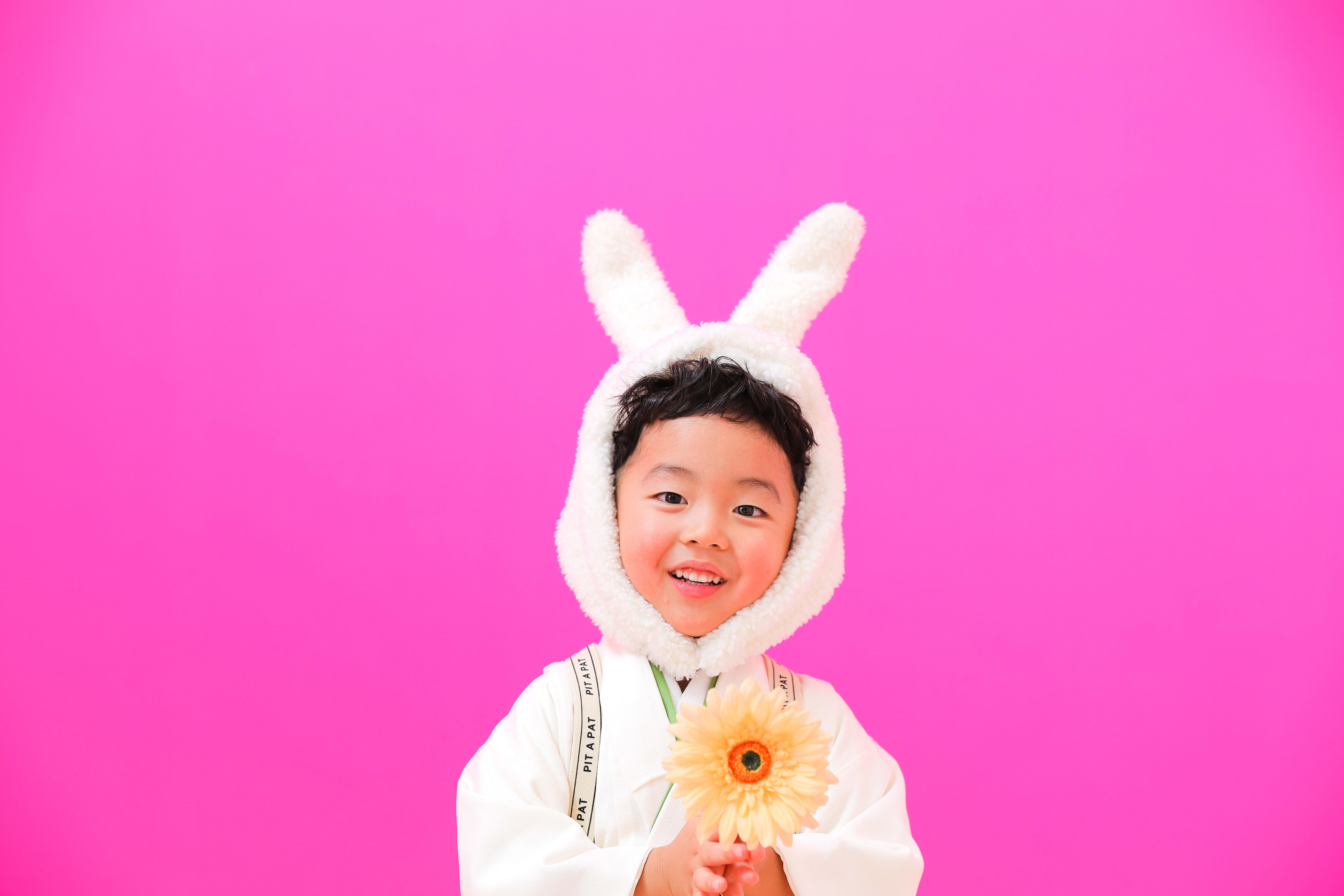 七五三　記念写真　うさぎ　キッズフォトハウス　HAPISTA