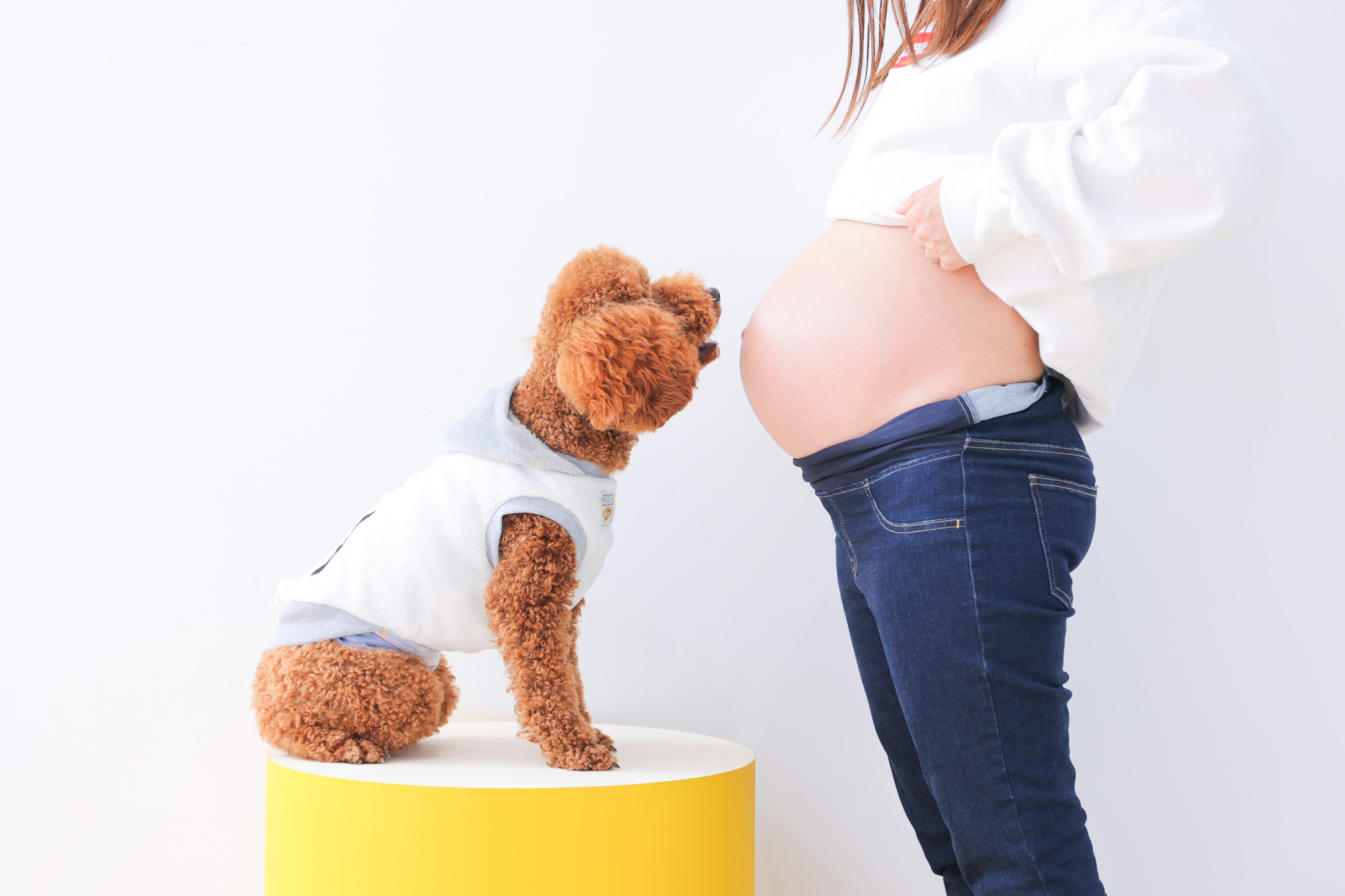 マタニティ　ペット撮影