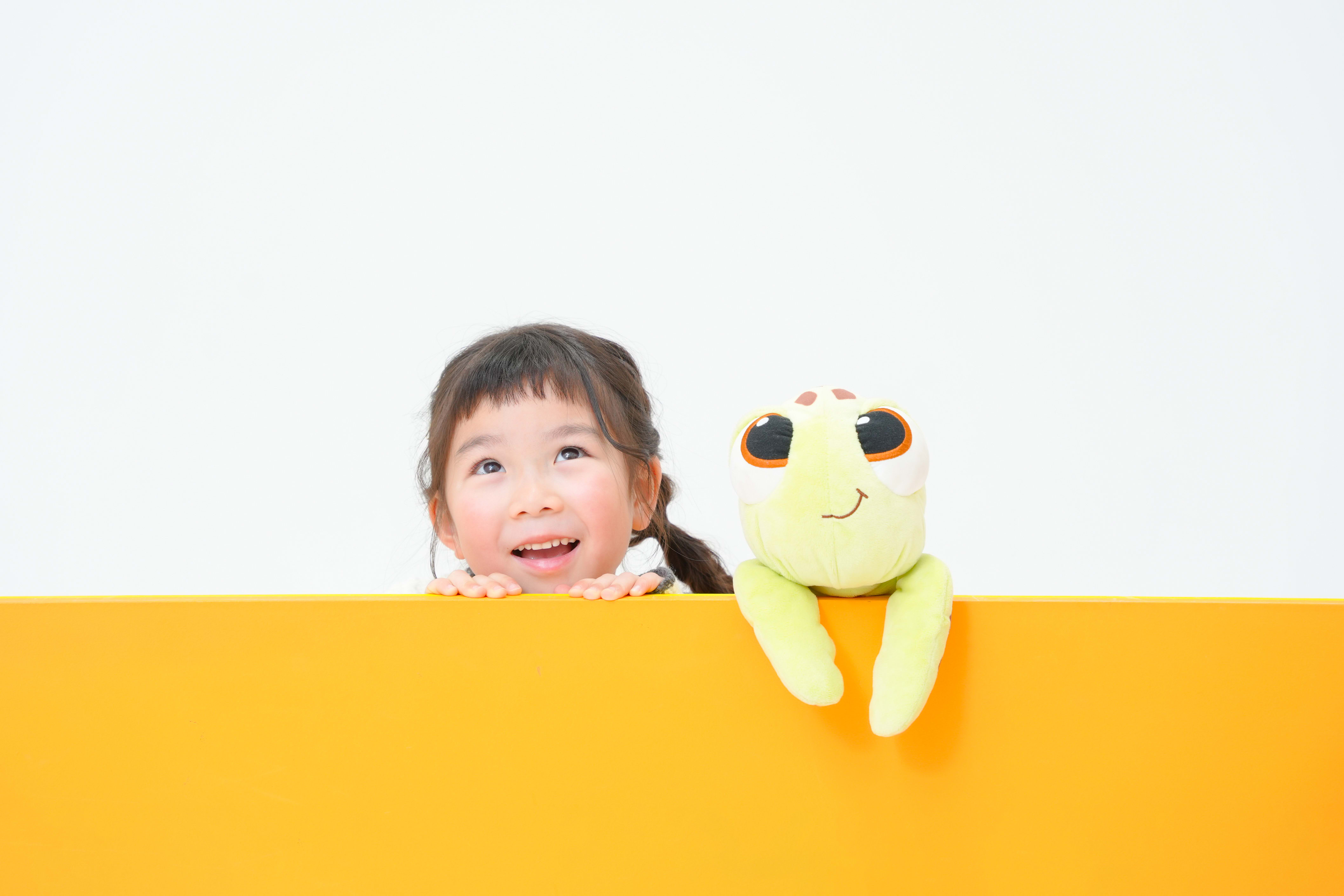 七五三　7歳　女の子　人形　亀