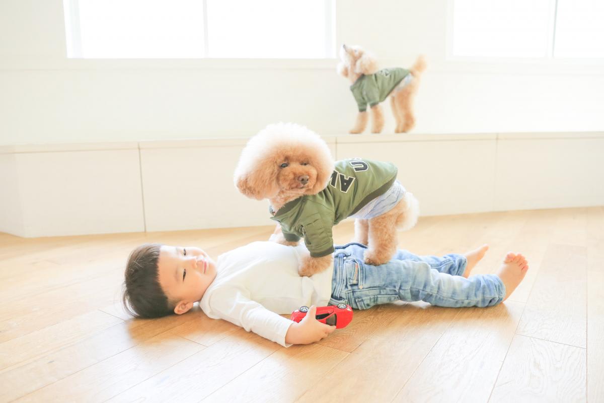 お誕生日　バースデー　わんちゃん　男の子　キッズ写真 　HAPISTA