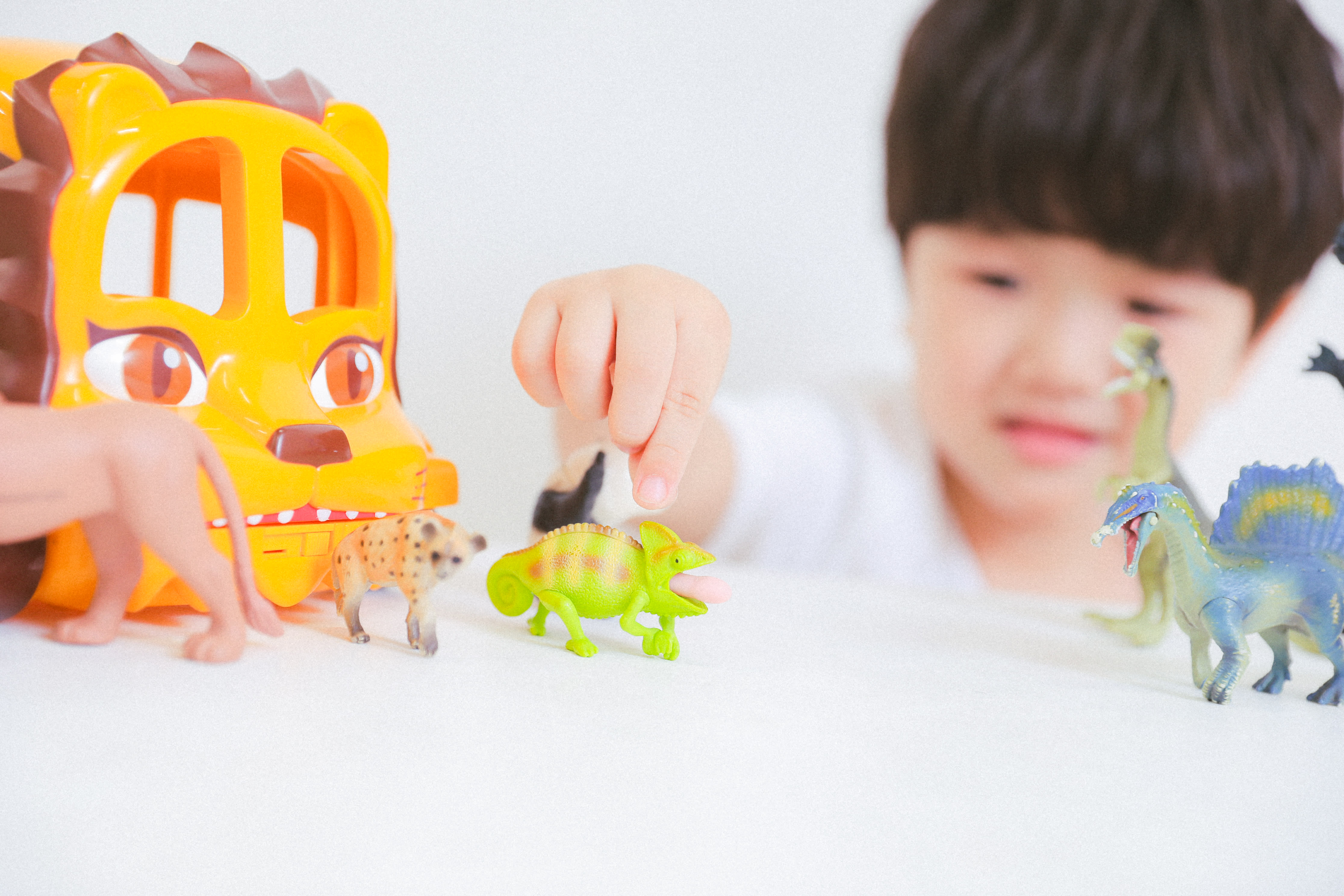 5歳男の子　7歳女の子　きょうだい　七五三