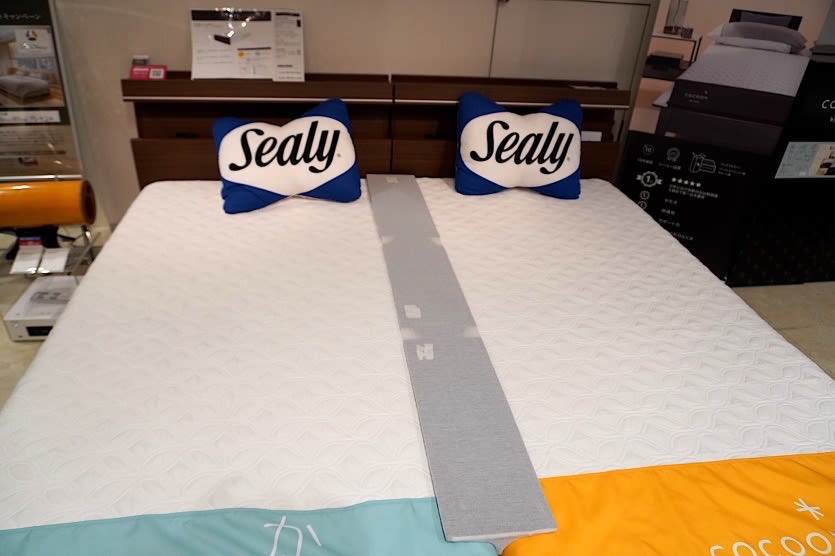 ダブルベッドは意外と狭い カップルにおすすめのベッドの選び方 サイズ編 Selady セレディ