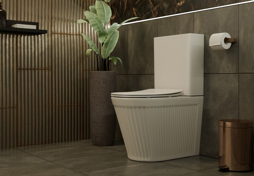 Inodoro compacto Beca Fossil Natura ambiente 5