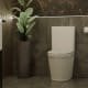 Inodoro compacto Beca Fossil Natura ambiente 2